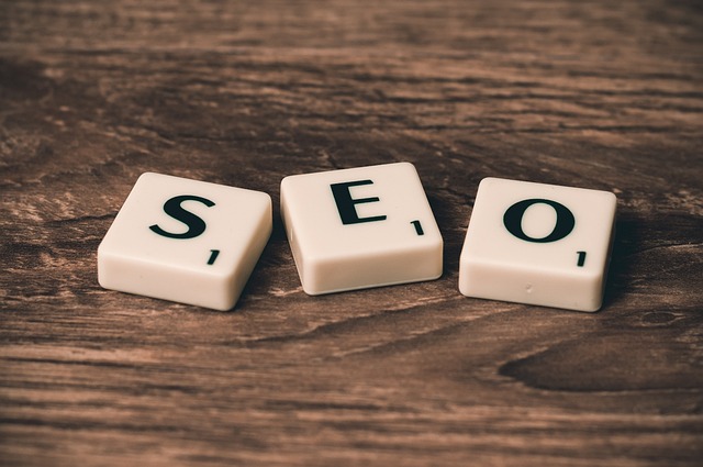 1745140774297276.jpg seo-758264_640.jpg